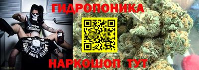 спайс Сланцы