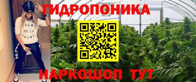 спайс Сланцы