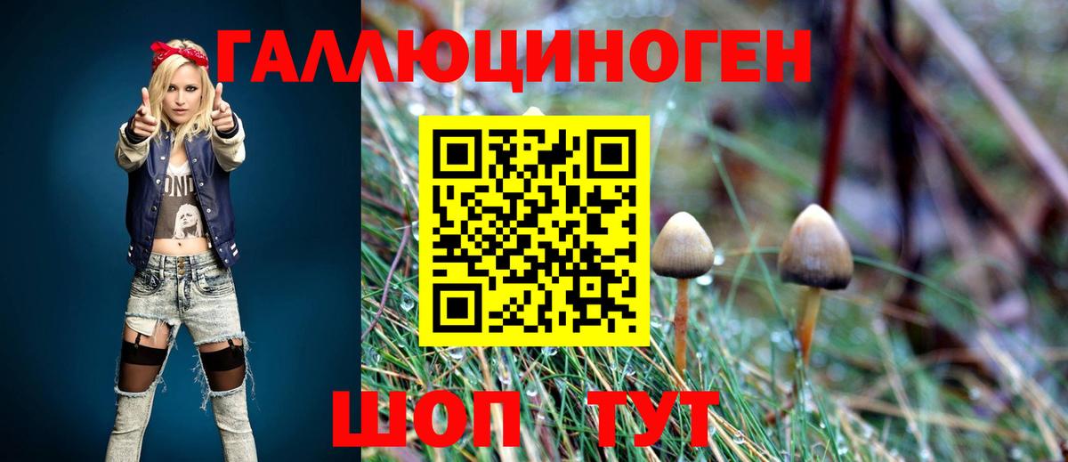 Псилоцибиновые грибы Cubensis  Вход с VPN  Мценск 